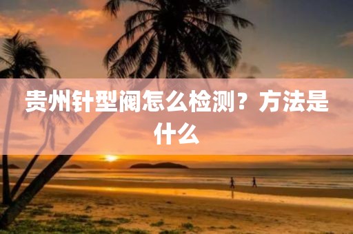 贵州针型阀怎么检测？方法是什么